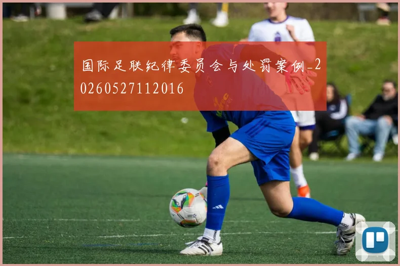 国际足联纪律委员会与处罚案例_20260527112016