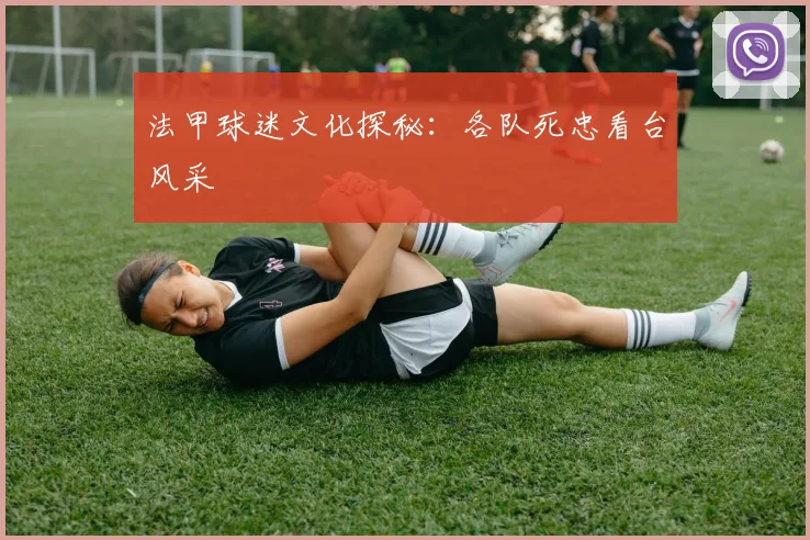 法甲球迷文化探秘：各队死忠看台风采